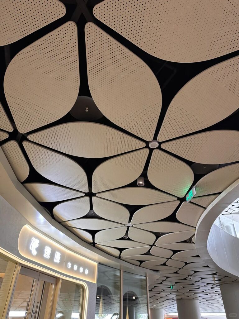 Aluminum Ceiling Systems-3